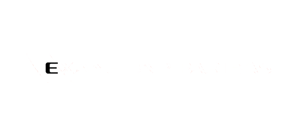 logo bnp white