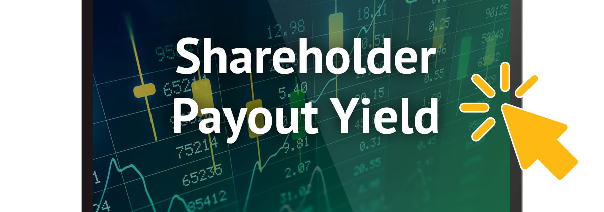 shareholder payout yield webinar